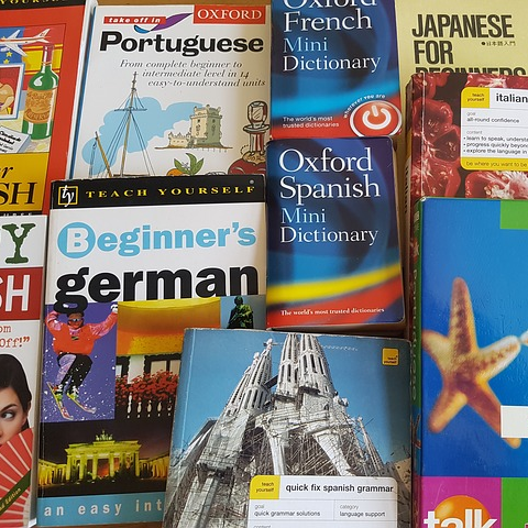 photo livres apprentissages de langues