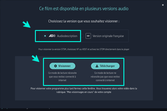 Copie écran du site Arte pour le choix de l'audiodescription