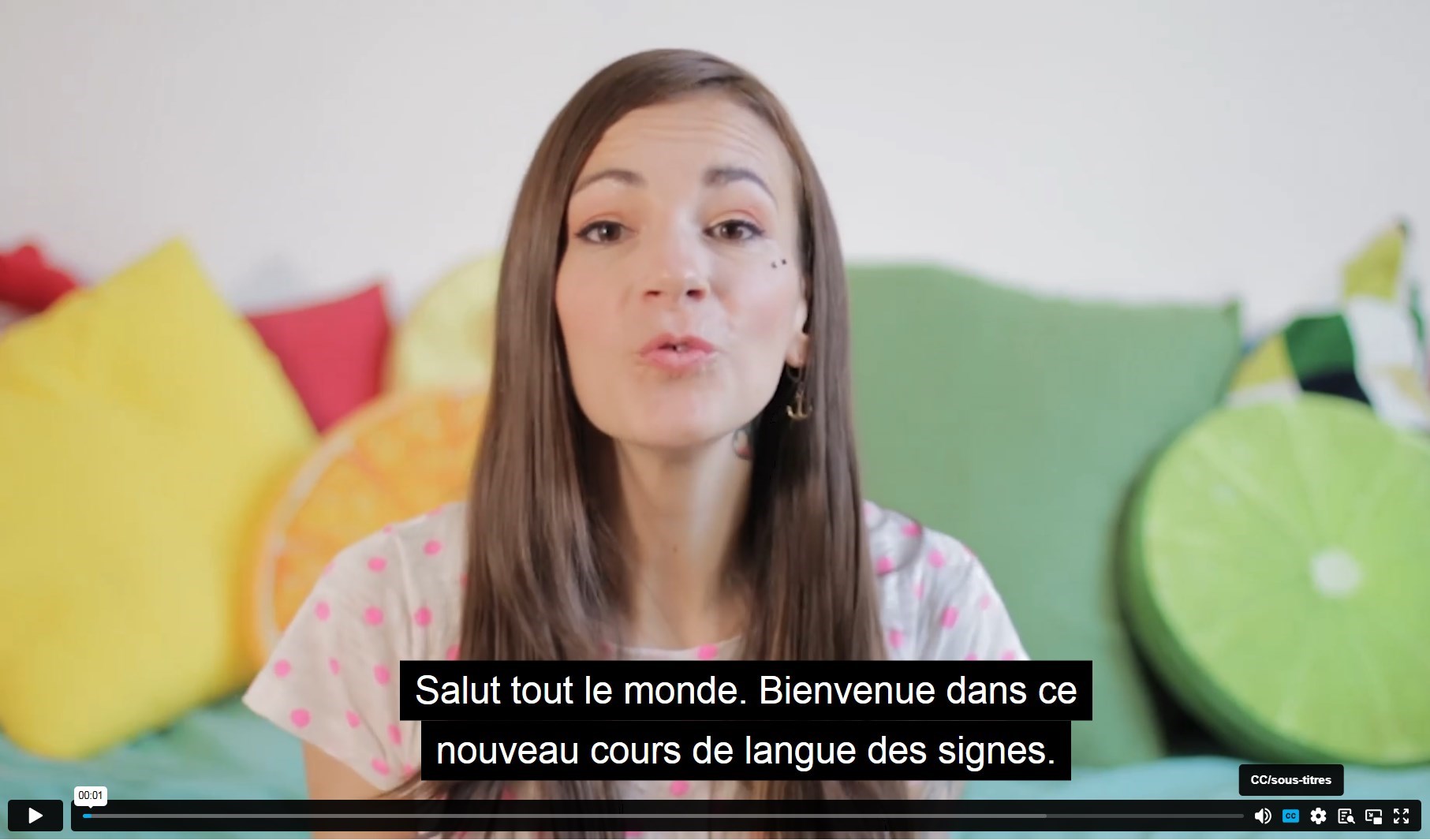 Capture écran d'un cours en ligne