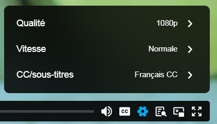 Capture écran d'un cours en ligne