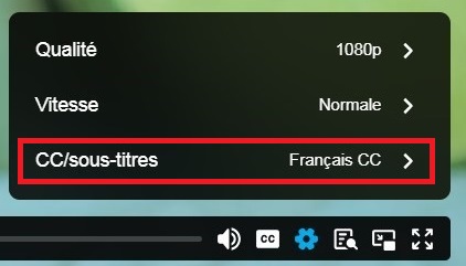Capture écran d'un cours en ligne