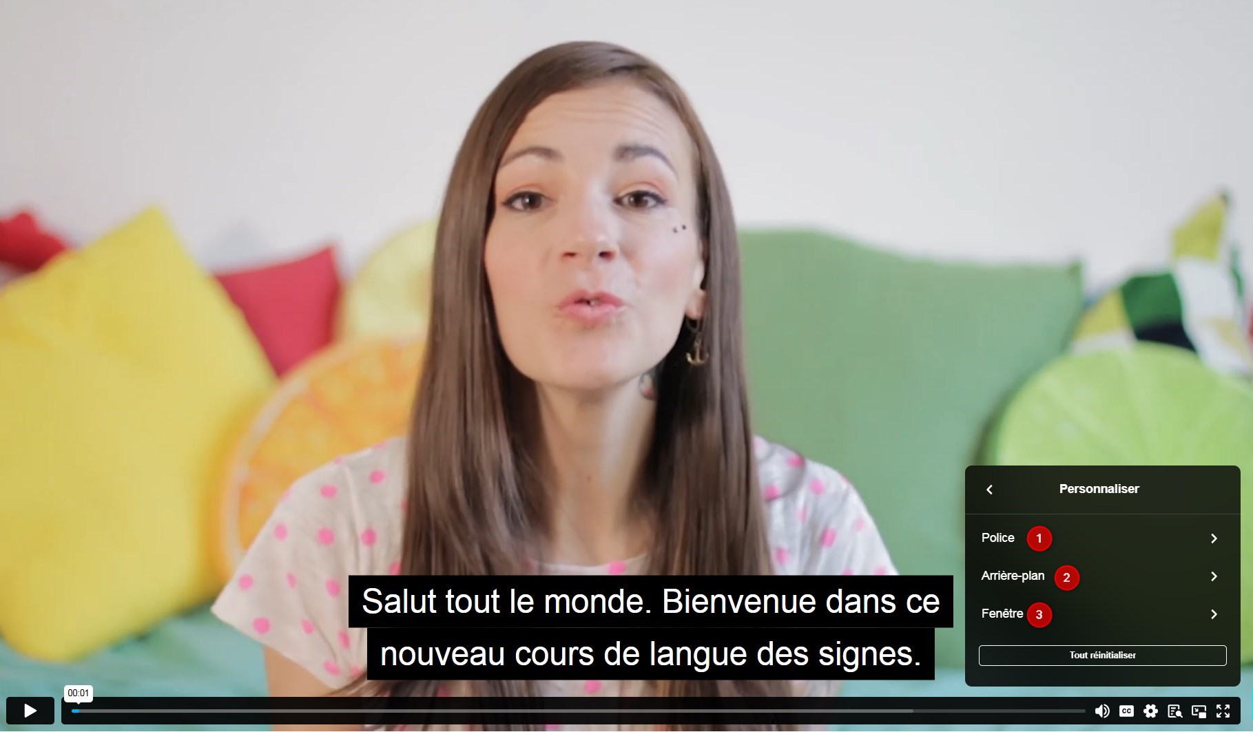 Capture écran d'un cours en ligne